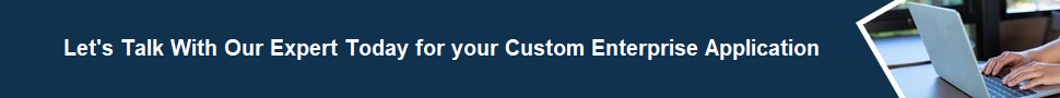 Custom Enterprise Application