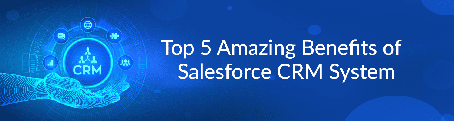 What are the Benefits of the Salesforce CRM System for a Small Business ...