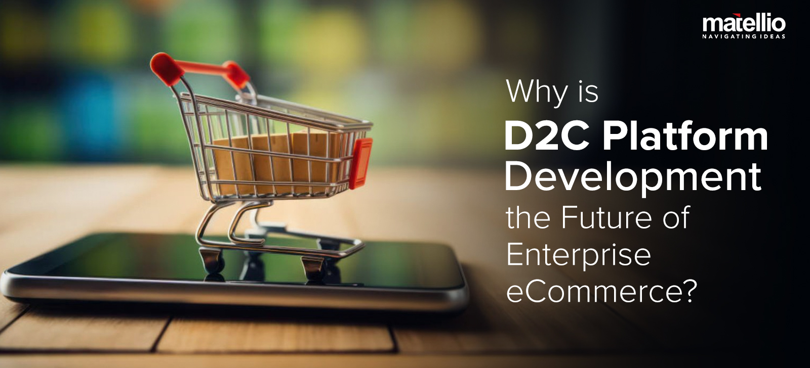 Why is D2C Platform Development the Future of Enterprise eCommerce?